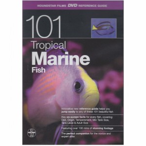 101 Tropical Marine Fish Dvd